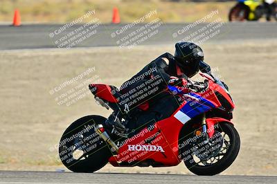 media/Sep-01-2024-Lets Ride (Sun) [[fd7c166674]]/C Group/Close Ups/